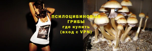 ГАЛЛЮЦИНОГЕННЫЕ ГРИБЫ Алексеевка